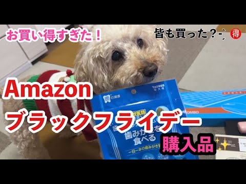 Amazonブラックフライデーでお買い物したらお得すぎた💖