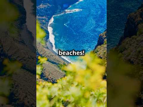 Mind-blowing beaches await in Lanzarote! #shorts #travel #lanzarote #vacation #triplang #wanderlust