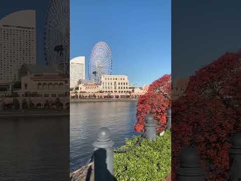 Autumn colors in Minato Mirai 21 #japanwalker #travel #japanesecity #japan #vlog #yokohama