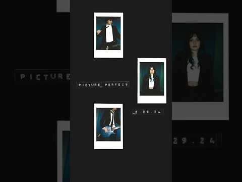 Picture Perfect - 2.29.24