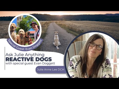 Ask Julie Anything with Guest Evan Doggett - REACTIVE DOGS - Adored Beast Apothecary