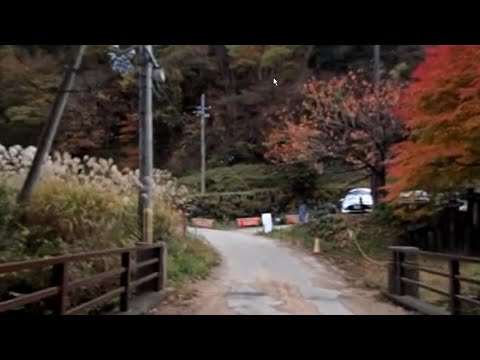 瀞川・氷ノ山林道(福定親水公園→東尾根登山口)@221106_1435