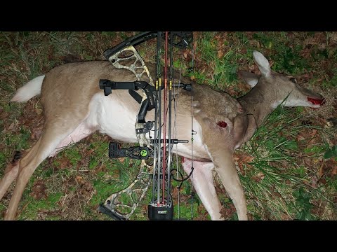 Late Season Bow Hunt! Epic Blood Trail!!