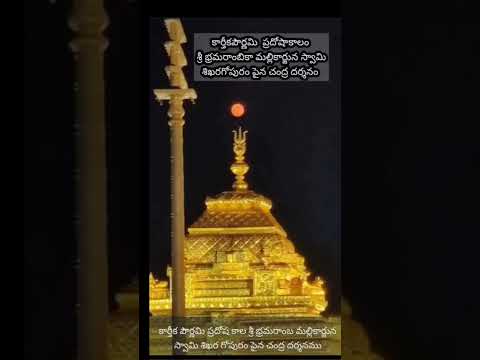 చంద్ర దర్శనం #karthikamasam #devotional #trending #viralvideo