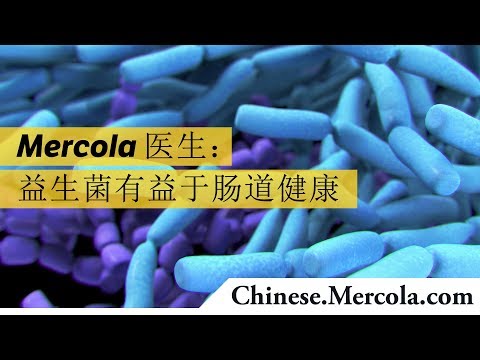 Mercola 医生：益生菌有益于肠道健康