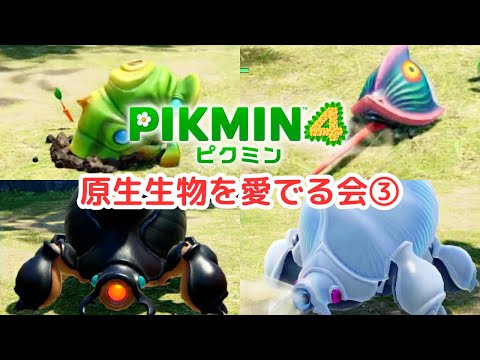 【原生生物を愛でる会③】イシツツミ科目とウジンコ類【ピクミン４】