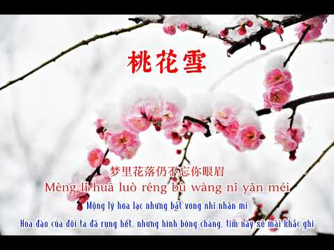 Đào hoa tuyết - Phong Tiểu Tranh || 桃花雪 [风小筝]