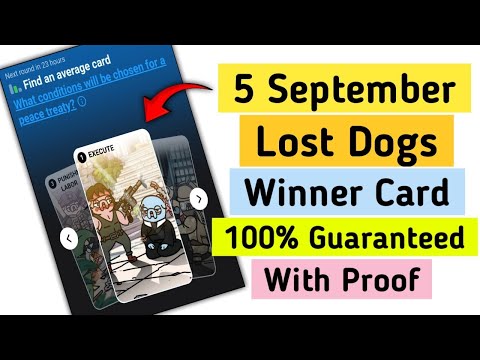 lost dogs the way 5 september daily card | lost dogs average card today | combo cards