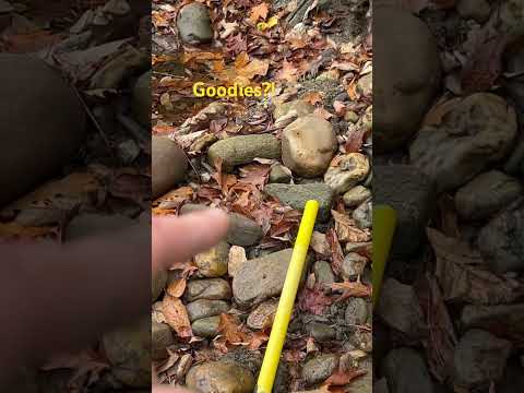 When you find that big ol’ rock down a foot or so 🤠 #Gold #Prospecting #Vermont #Leaves #Foliage ￼