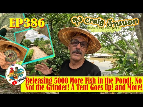 EP386 Releasing 5000 More Fish into the Pond! No Not the Grider! A Tent Goes Up and More!