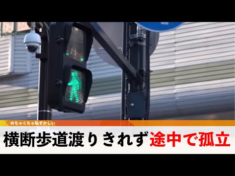 横断歩道渡り切れず孤立、視線集まる【どうでもいい日常のニュース】