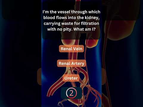 Did You Know This About Your Urinary System? 💧 #UrinarySystem 6