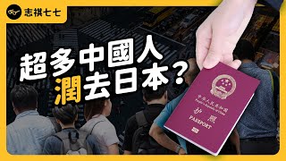 對祖國失望？中國「潤日」人數大增！為何這麼多人想移民日本？ft. 社長劉洋 @CEORYUYO 《神秘職業大揭秘》EP025｜志祺七七