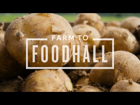 New Potatoes 2 | Farm To Foodhall  | M&S FOOD