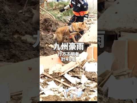 処分されかけた元野犬が九州豪雨災害で...