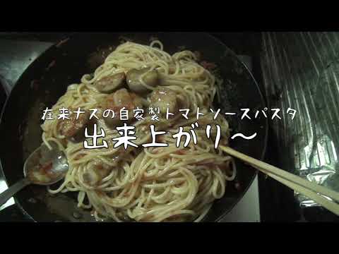 【たねとりYouTuber流子育て】種取りしたトマトでトマトソース作り/大人が楽しく生きる背中を見せ続ける