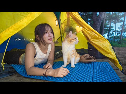 ‼️Midsummer beach solo camping (Choco, the big cat who became a father🐈)/ 🔥Eel+🍺 + Melon🍈