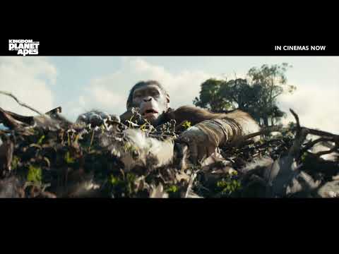 Kingdom of the Planet of the Apes | Cliff