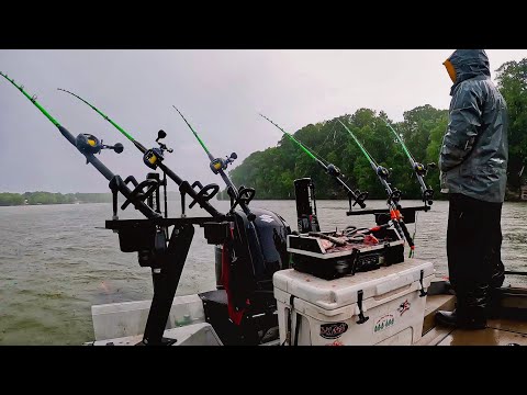 Fishing the BIGGEST CATFISH TOURNAMENT In The Country!! (2024 Seaark Invitational)