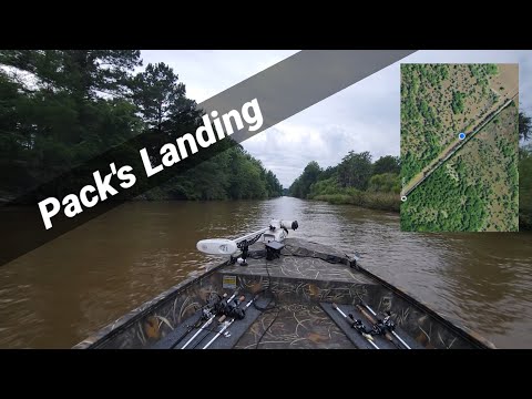 Santee Cooper Lake Tour #3 | PACK'S LANDING | Lake Marion #outdoors #lake #boats