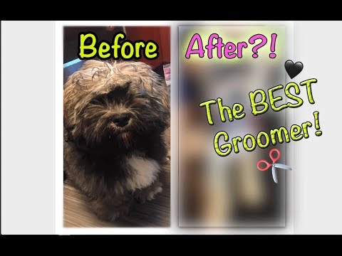 Sean's First Haircut |  Come with me!!