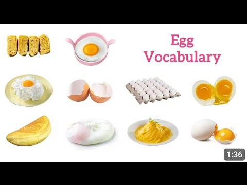 Egg-cellent English Vocabulary #english #learnenglish  #vocabulary