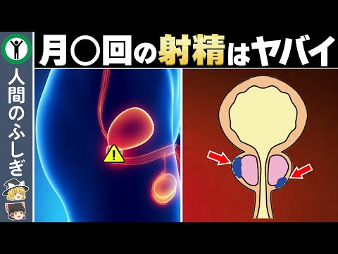 【男性必見】急増している前立腺ガンと驚きの予防方法【ゆっくり解説】