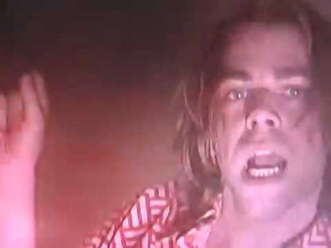 Ariel Pink - Didn't It Click (Official Video)