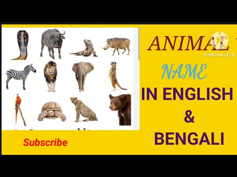 ANIMAL NAME IN English and Bengali #english@EnglishConnectionByKanchan @smritighosh2416