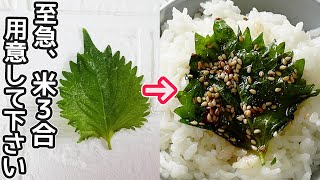 ごはんが止まらない！「大葉の醬油漬け」やみつきになる美味しさ！