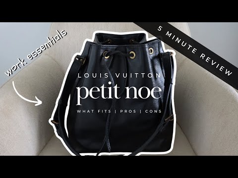 IS THIS THE BAG FOR YOU? Petit Noe Review |What Fits, Pros, Cons & Mod Shots all in just *5 MINUTES*