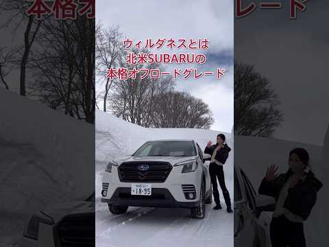 SUBARUフォレスターウィルダネススペシャル！お得なオプションてんこ盛り！