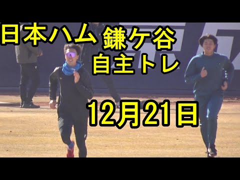 日本ハム福島蓮、柳川大晟が規格外のボールを投げる鎌ケ谷自主トレ2024.12.21