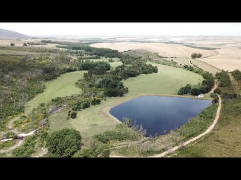 Nature's Retreat: Discovering Kromrivier Farm in Riviersonderend