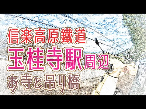 スーパーカブと信楽高原鐵道と玉桂寺と保良の宮橋