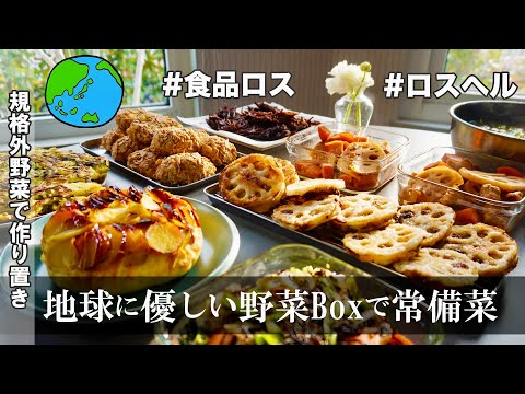 常備菜9品【規格外野菜で地球に優しい作り置き】食品ロスを目指そう！じゃがいも|ごぼう｜人参｜さつまいも｜ブロコリー｜蓮根｜小松菜｜りんご［ロスヘル宅配Boxとコラボ動画］私の祖父もみかん農園主でした！