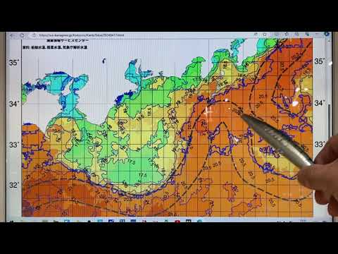 2024年4月17日 / 黒潮蛇行終息の兆しか？