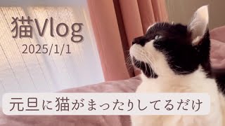 【1】13歳おばあちゃん猫の元旦