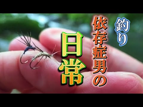 渓流釣り  邪道テンカラ