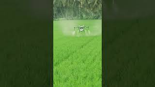 Agri Drone Sprayer      . #agriculture #agridrone #agritech #drone #modrenfarming #paddy #spray