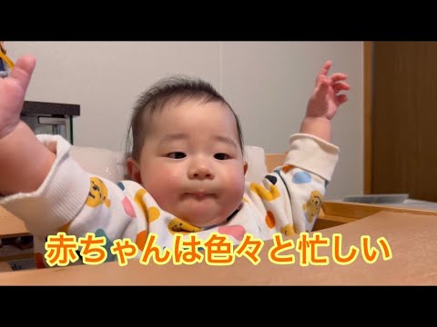 【生後7ヶ月】赤ちゃんは色々と忙しい