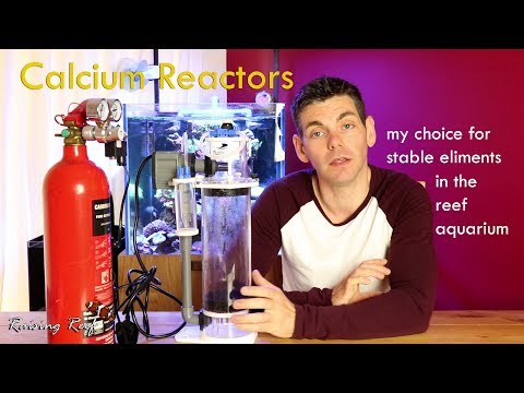 calcium reactor for stable parameters