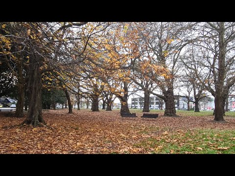 EXPLORING HAGLEY PARK CHRISTCHURCH