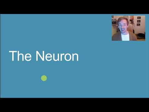 PSYC 356: MEMORY 9: Neuroplasticity and How Neurons Change with Experience