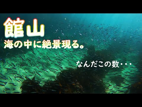 館山でシュノーケルしたらまた絶景だった