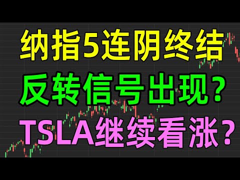 美股收评1118，纳指5连阴终结，反转信号出现？TSLA继续看涨？