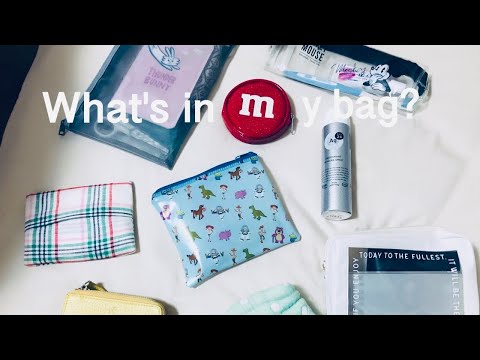 【バッグの中身】30代アラサーのWhat's in my bag?（100均・無印グッズ）