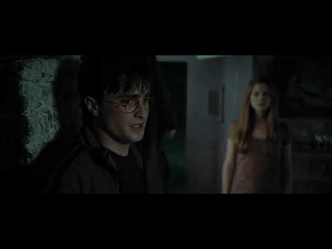 Harry Potter and the Deathly Hallows/Best scene/David Thewlis/Domhnall Gleeson/Julie Walters