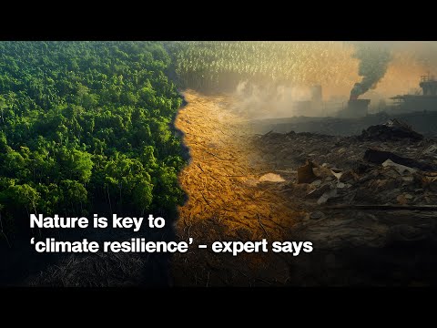 Nature is key to ‘climate resilience’ - expert