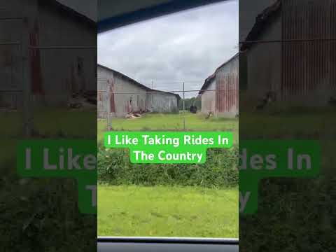 Taking a Ride in the country #viral